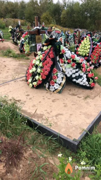 Гулицкий Владимир Владимирович