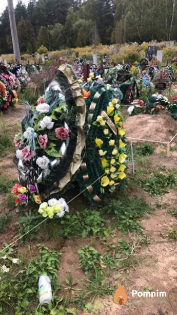 Шевченко Алина Ивановна