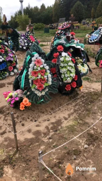 Силкина Татьяна Вячеславовна