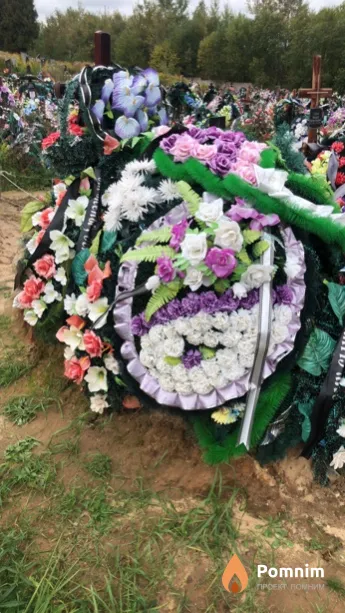 Зима Александр Александрович