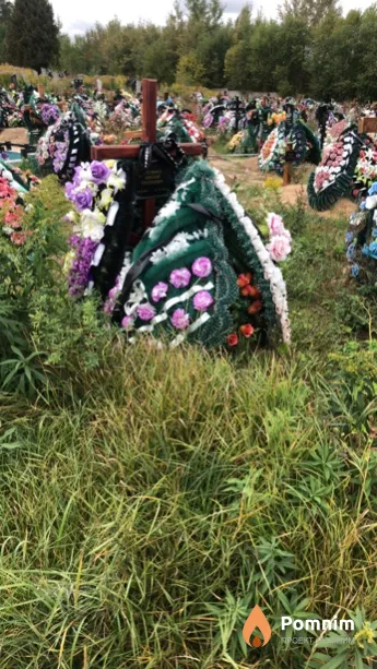 Стельмах Николай Григорьевич
