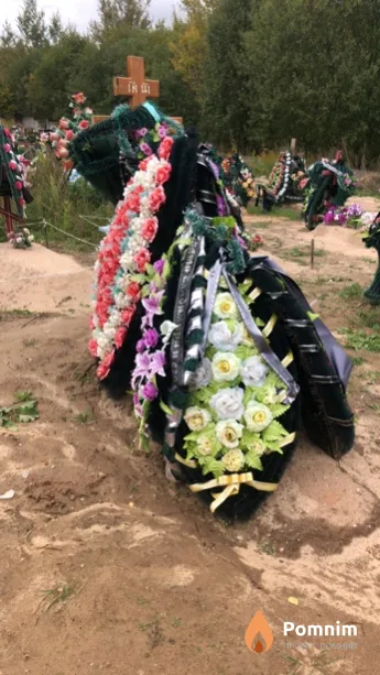 Трофимчук Надежда Сергеевна