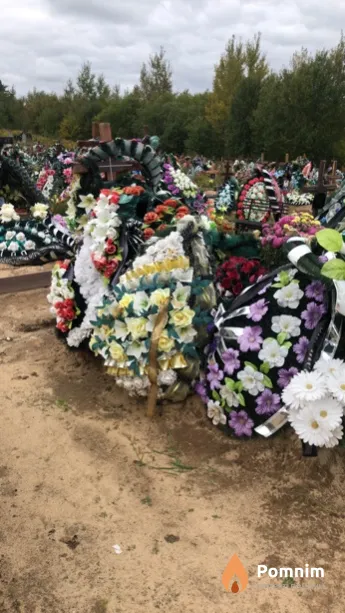 Грушевич Александр Иванович
