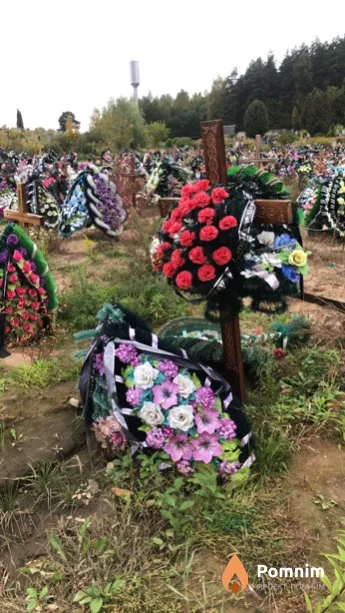 Гулевич Николай Иванович