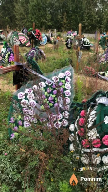 Шибут Владимир Гавриилович