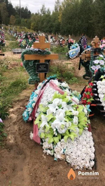 Дедюля Вера Николаевна