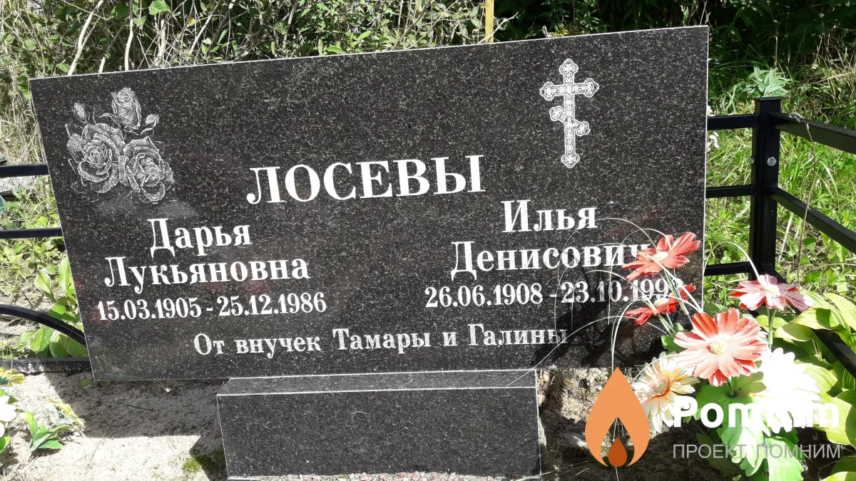 Лосевы Илья Денисович