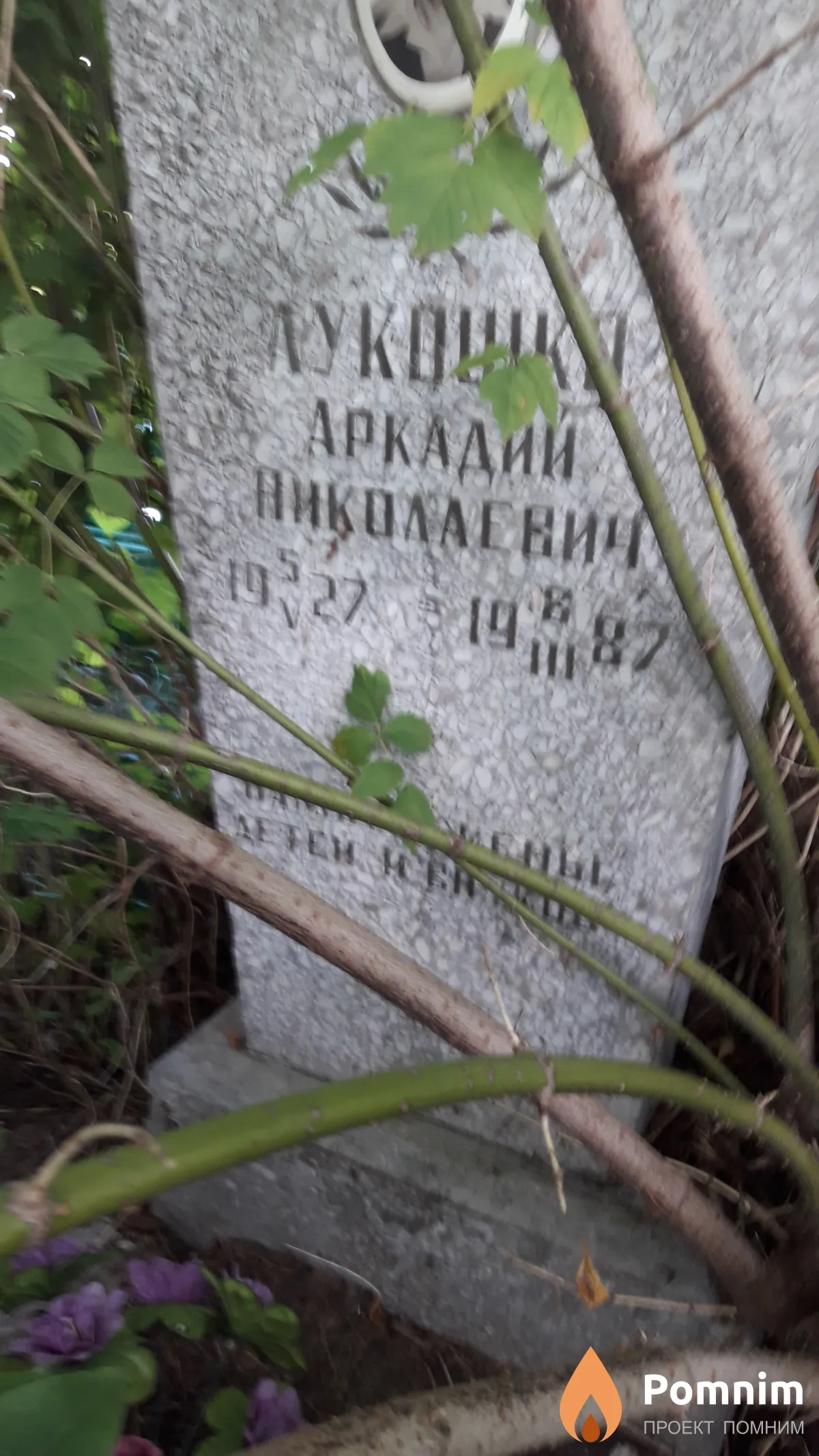 Лукошко Аркадий Николаевич