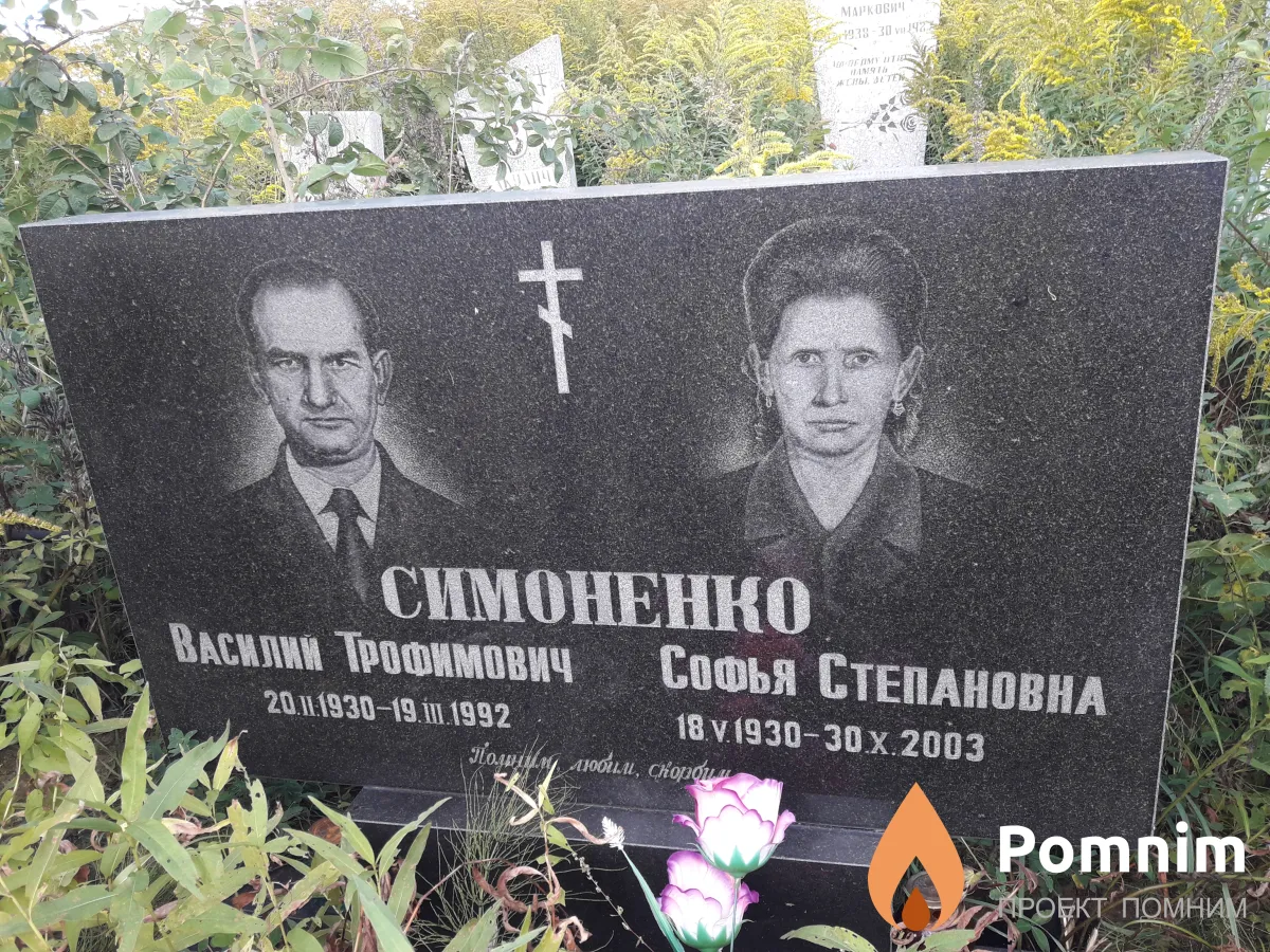 Симоненко Василий Трофимович