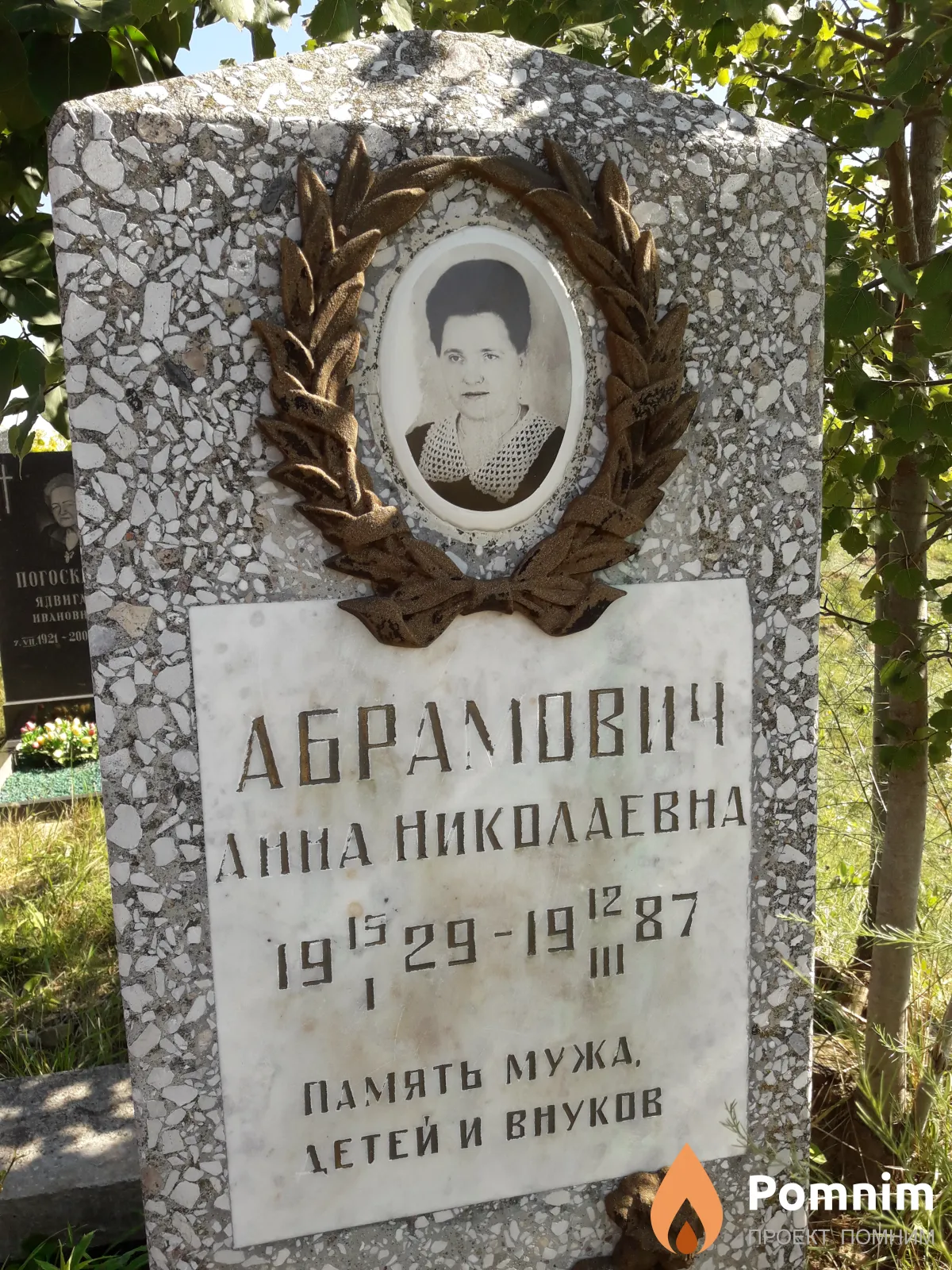 Абрамович Анна Николаевна