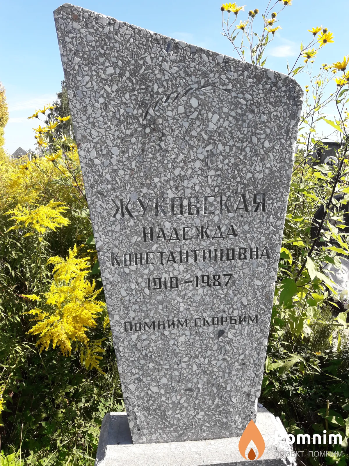 Жуковская Надежда Константиновна
