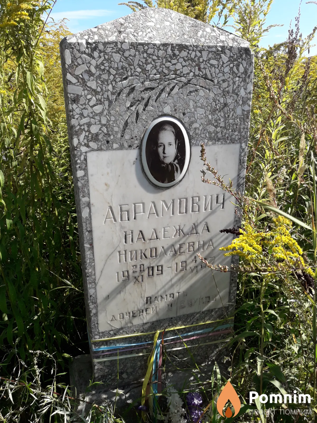Абрамович Надежда Николаевна
