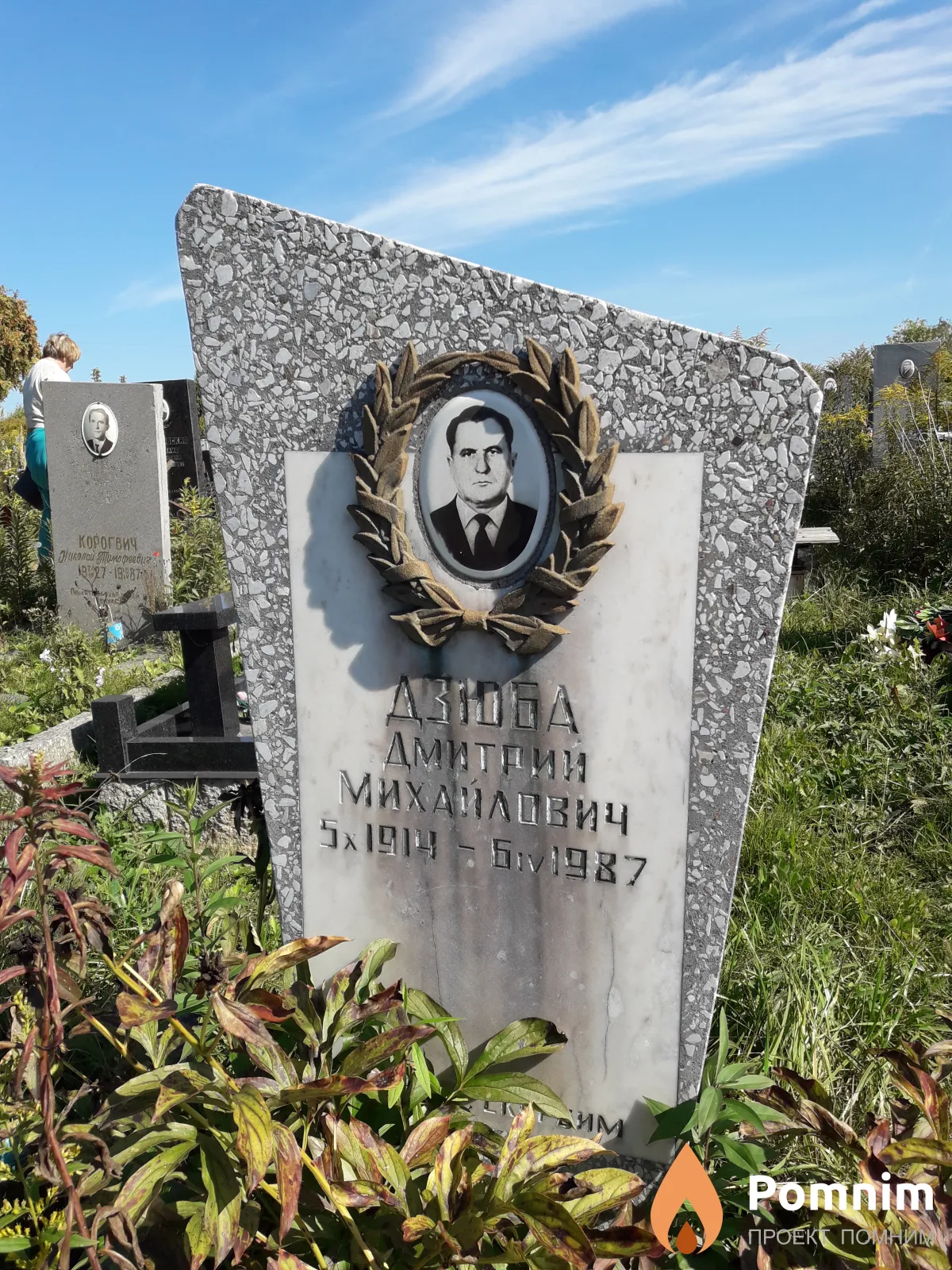 Дзюба Дмитрий Михайлович