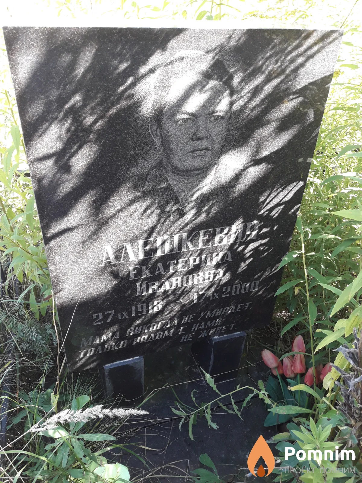 Алешкевич Екатерина Ивановна
