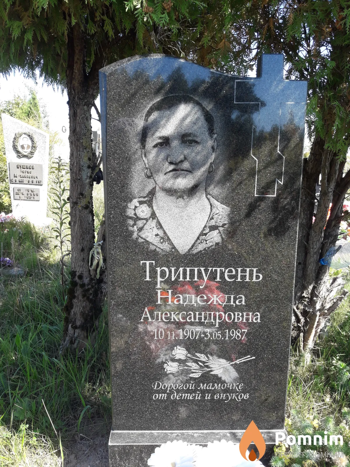Трипутень Надежда Александровна