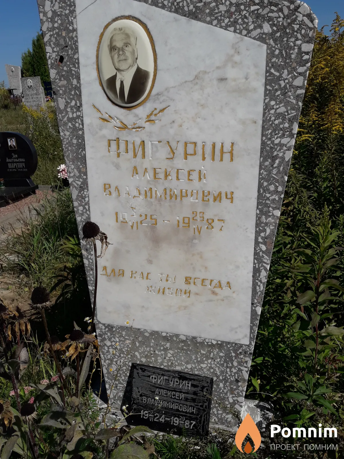 Фигурин Алексей Владимирович
