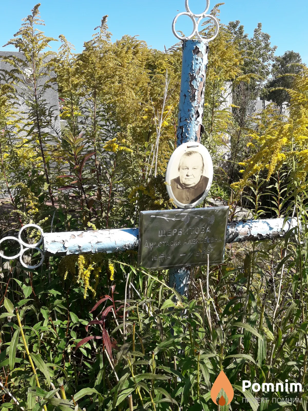 Щербитова Анастасия Алексеевна
