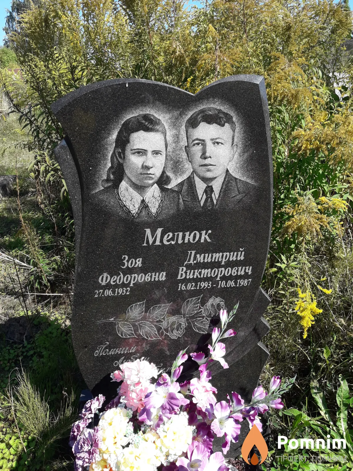 Мелюк Дмитрий Викторович