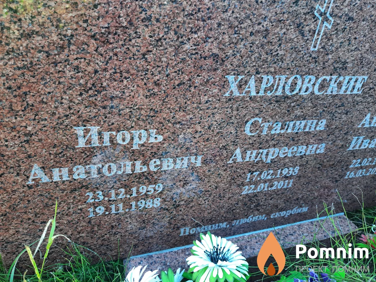 Харловский Игорь Анатольевич