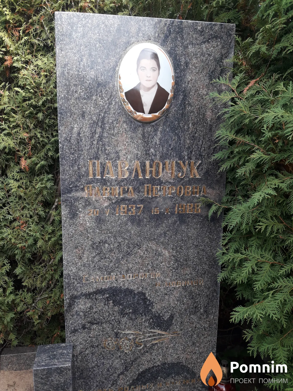 Павлючук Ядвига Петровна