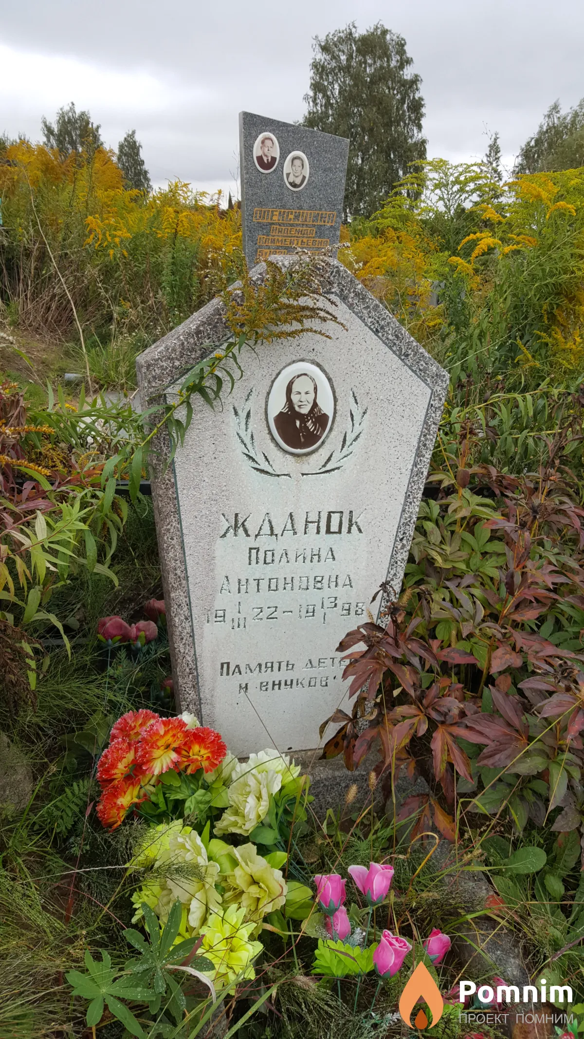 Жданок Полина Антоновна