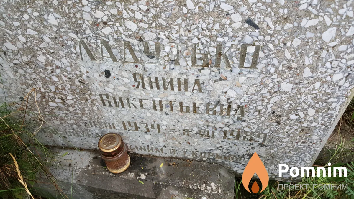 Ладутько Янина Викентьевна