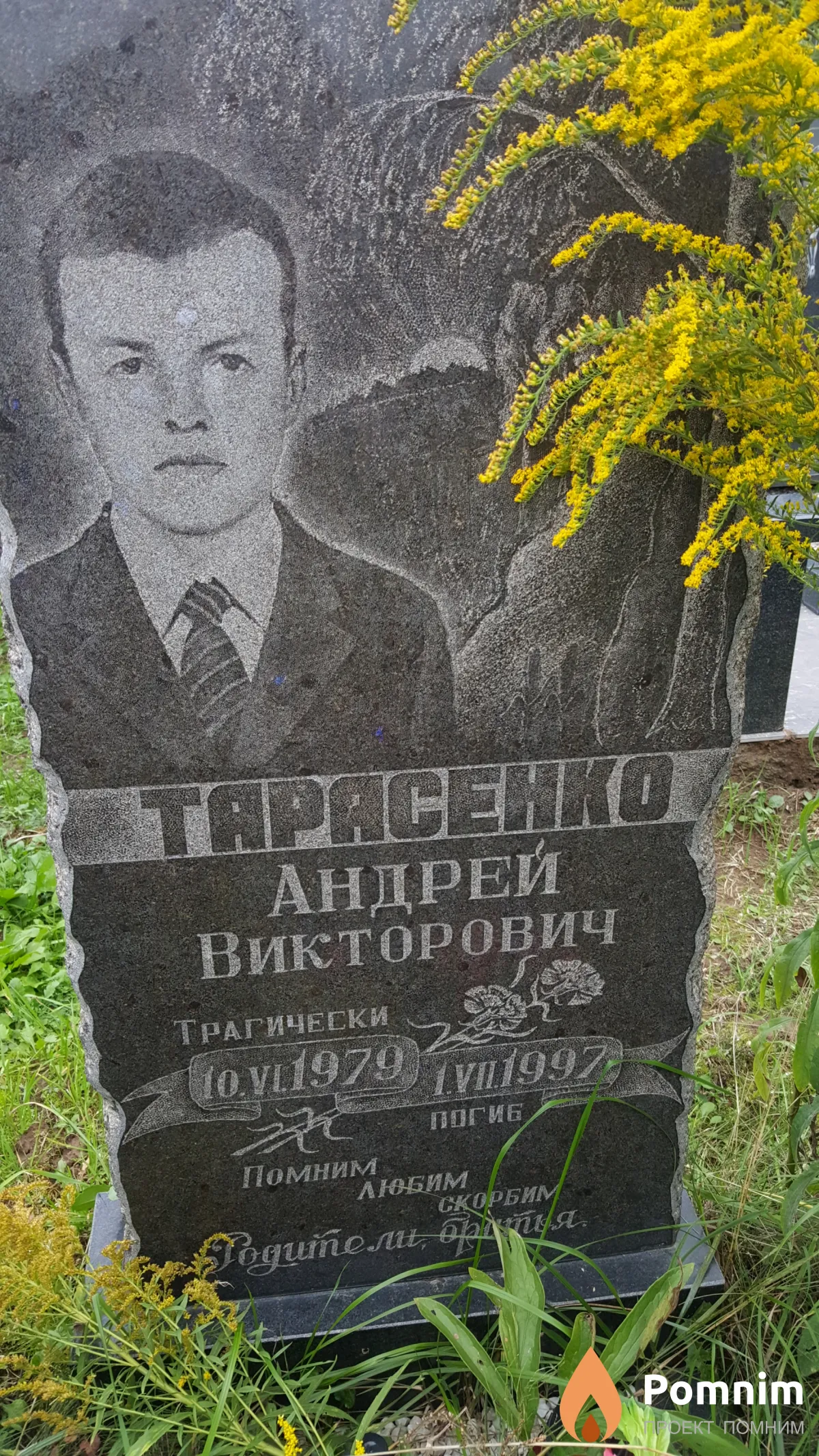 Тарасенко Андрей Викторович