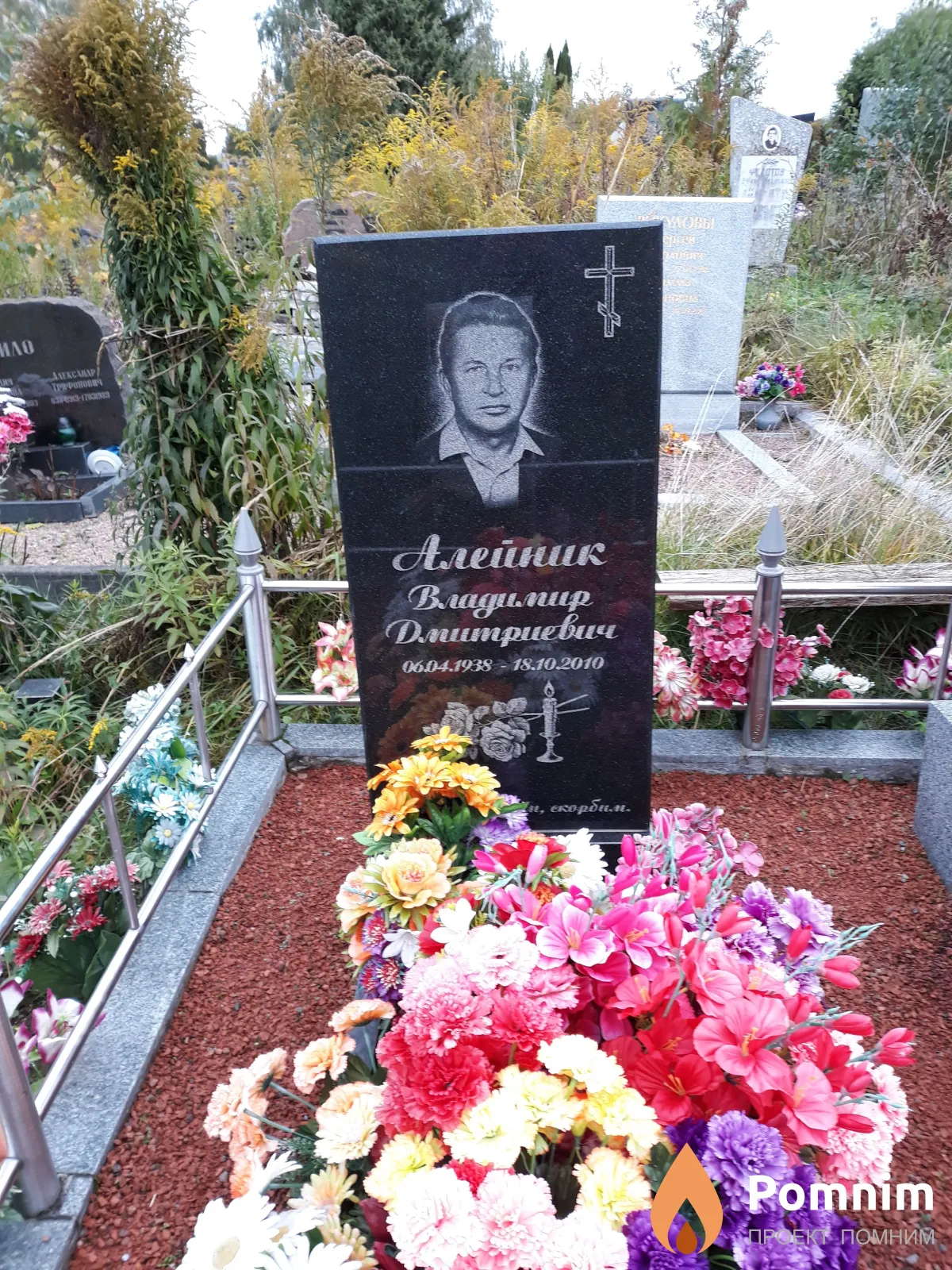 Алейник Владимир Дмитриевич