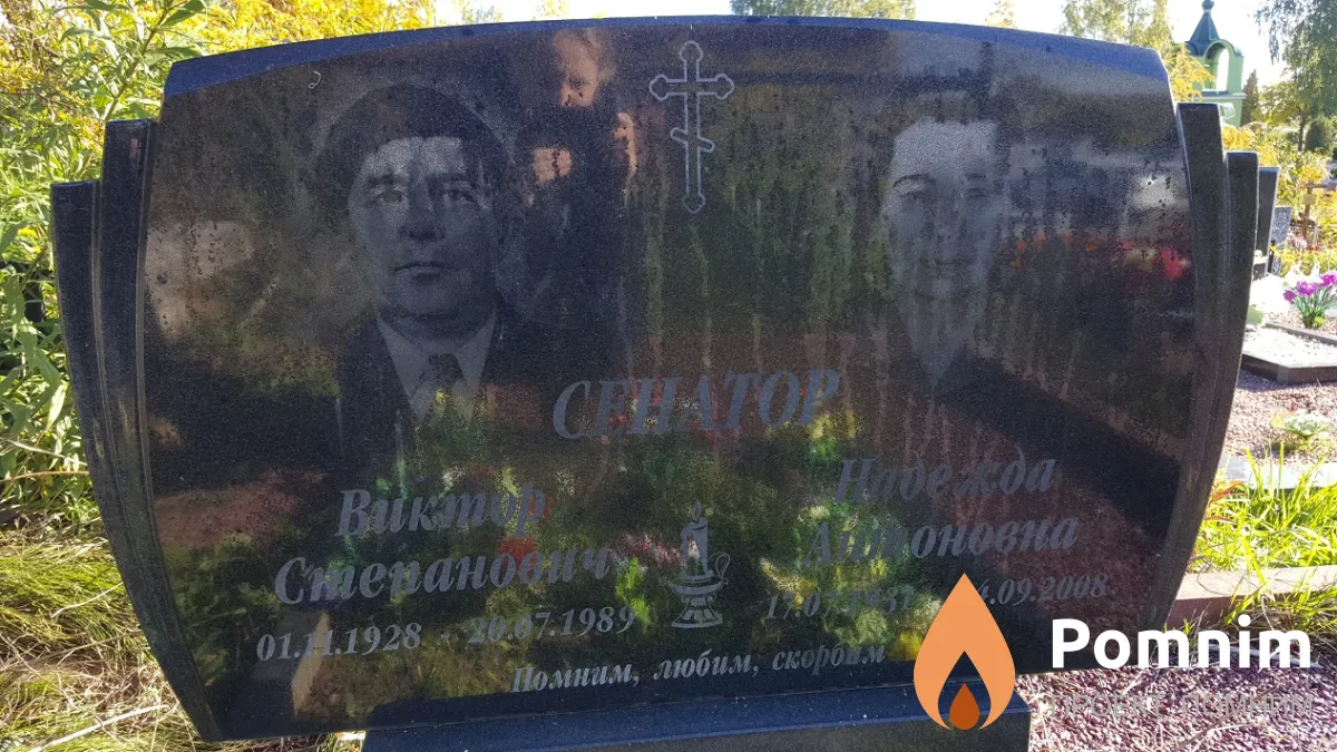 Сенатор Виктор Степанович