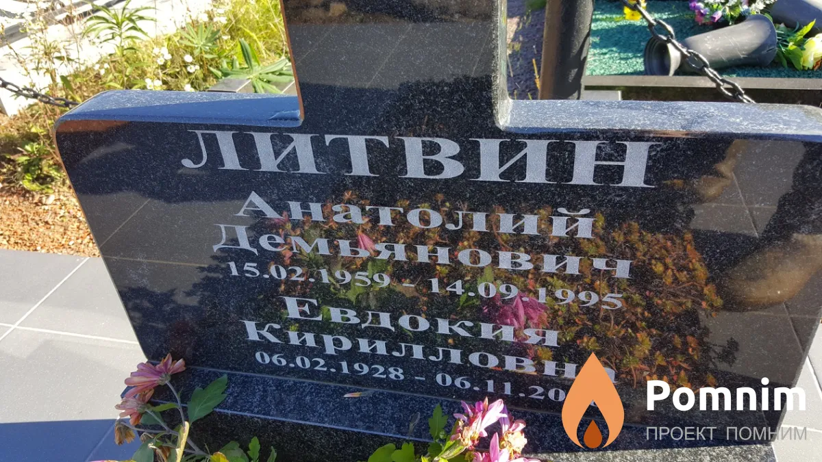 Литвин Анатолий Демьянович