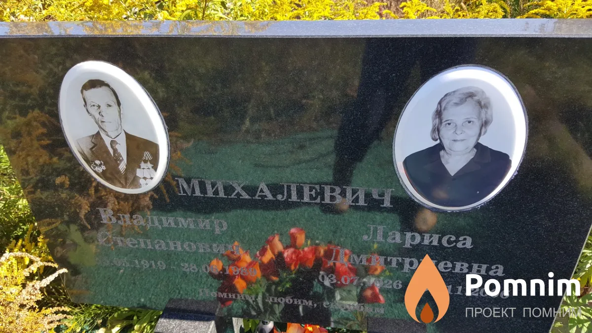 Михалевич Владимир Степанович