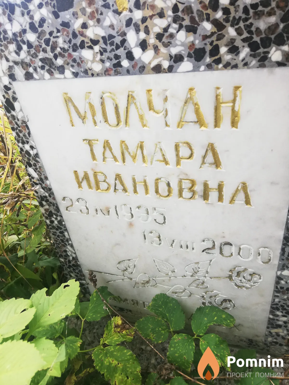 Молчан Тамара Ивановна