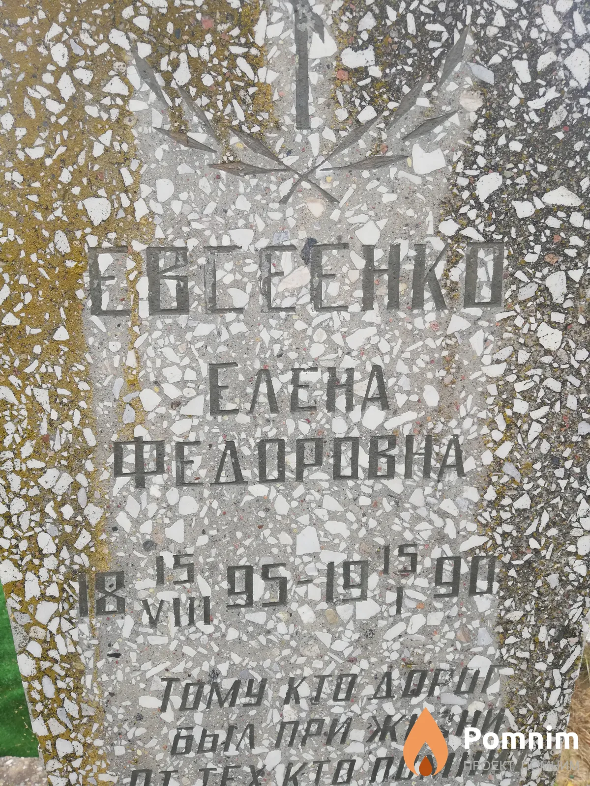 Евсеенко Елена Федоровна