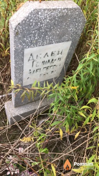Делец Геннадий Алексеевич
