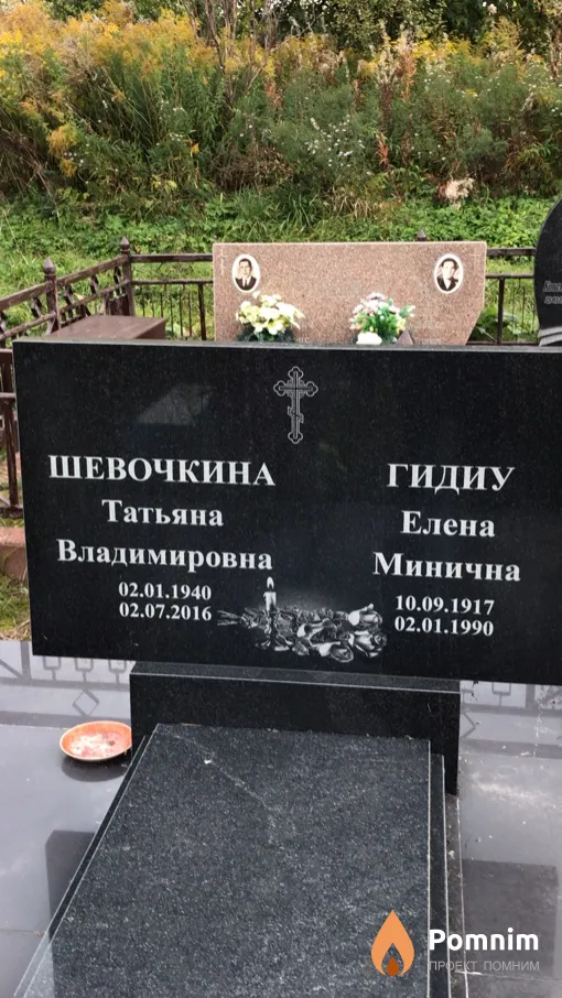 Шевочкина Татьяна Владимировна
