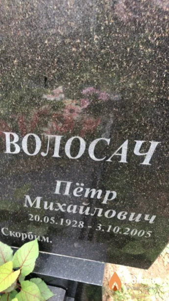 Волосач Пётр Михайлович