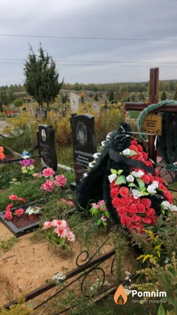 Багрицевич Дмитрий Иванович