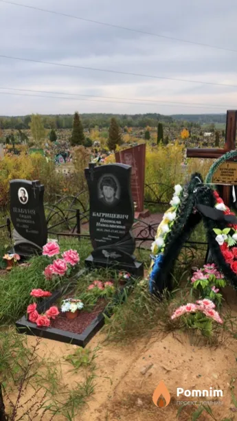 Багрицевич Неонила Николаевна