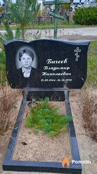 Бигеев Владимир Николаевич