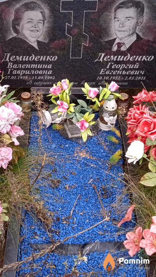 Демиденко Георгий Евгеньевич
