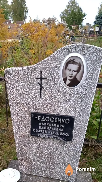Недосенко Александра Васильевна
