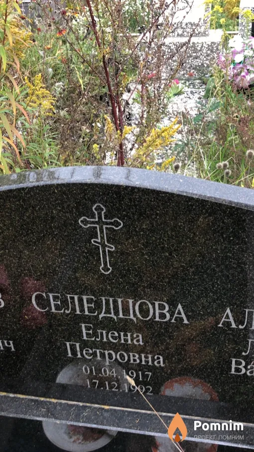 Селедцова Елена Петровна