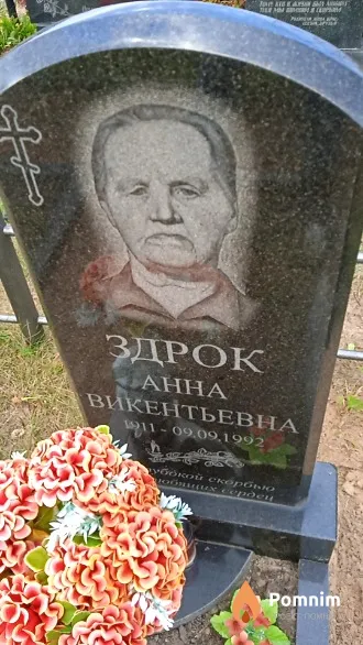 Здрок Анна Викентьевна