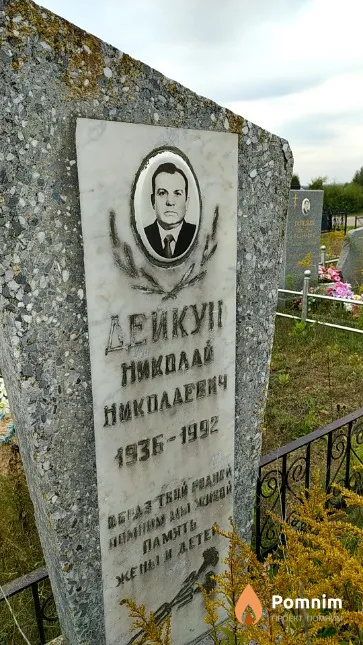 Дейкун Николай Николаевич