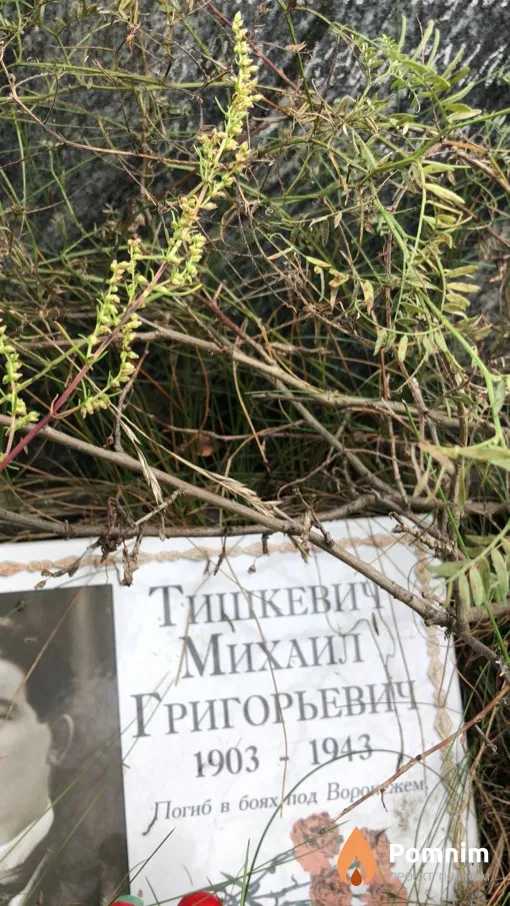Тишкевич Михаил Григорьевич