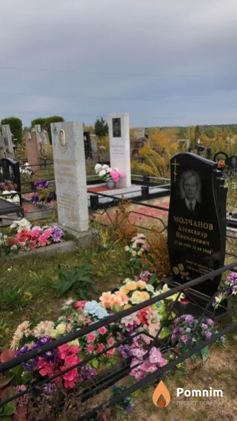 Молчанов Александр Николаевич