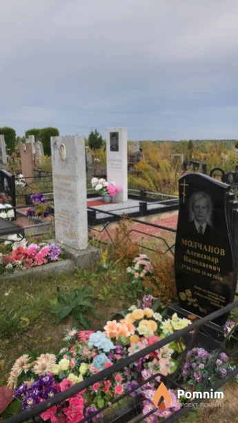 Молчанова Татьяна Григорьевна