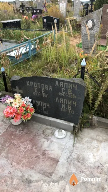 Кротова Е. Е.