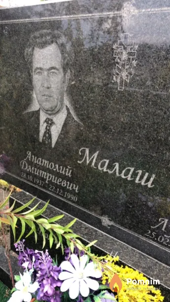 Малаш Анатолий Дмитриевич