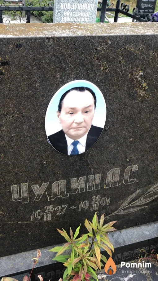 Чудин А. С.